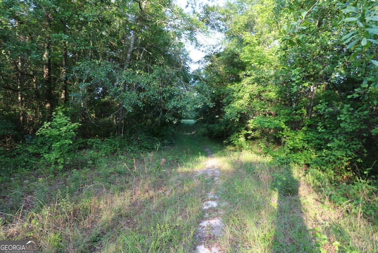 0 Kings Mill Road Wrens GA 30833