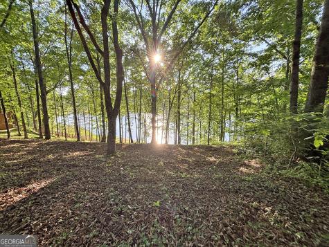 Lot 5 Walnut Road Blairsville GA 30512