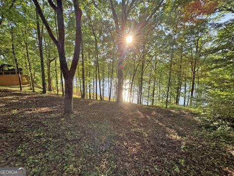 Lot 5 Walnut Road Blairsville GA 30512