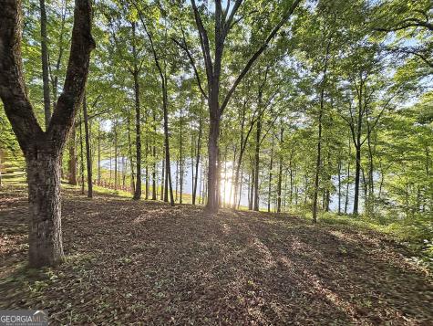 Lot 5 Walnut Road Blairsville GA 30512