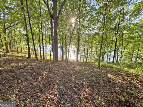 Lot 5 Walnut Road Blairsville GA 30512