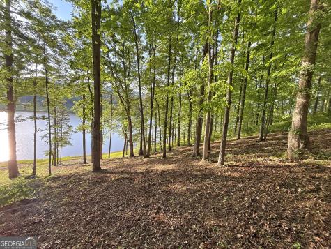 Lot 5 Walnut Road Blairsville GA 30512