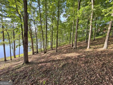 Lot 5 Walnut Road Blairsville GA 30512