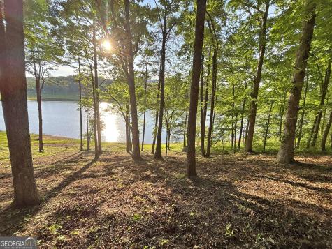 Lot 5 Walnut Road Blairsville GA 30512