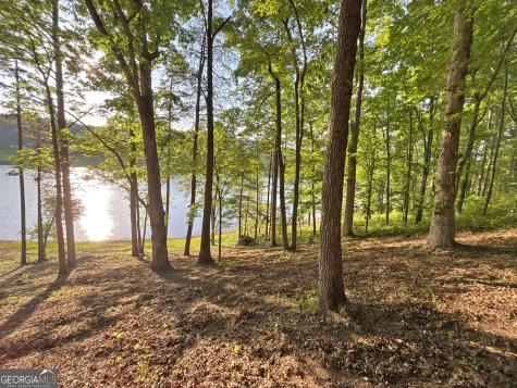Lot 5 Walnut Road Blairsville GA 30512