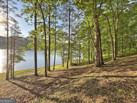 Lot 5 Walnut Road Blairsville GA 30512