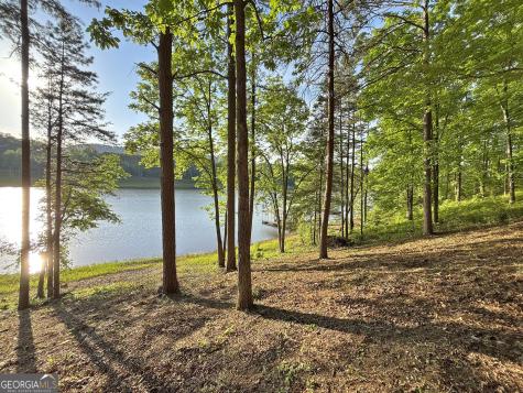 Lot 5 Walnut Road Blairsville GA 30512