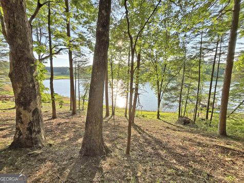 Lot 5 Walnut Road Blairsville GA 30512