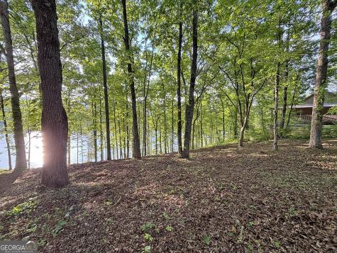 Lot 5 Walnut Road Blairsville GA 30512