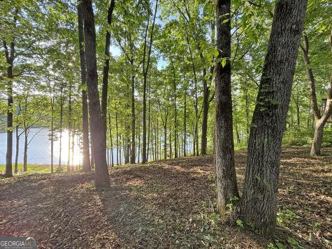 Lot 5 Walnut Road Blairsville GA 30512