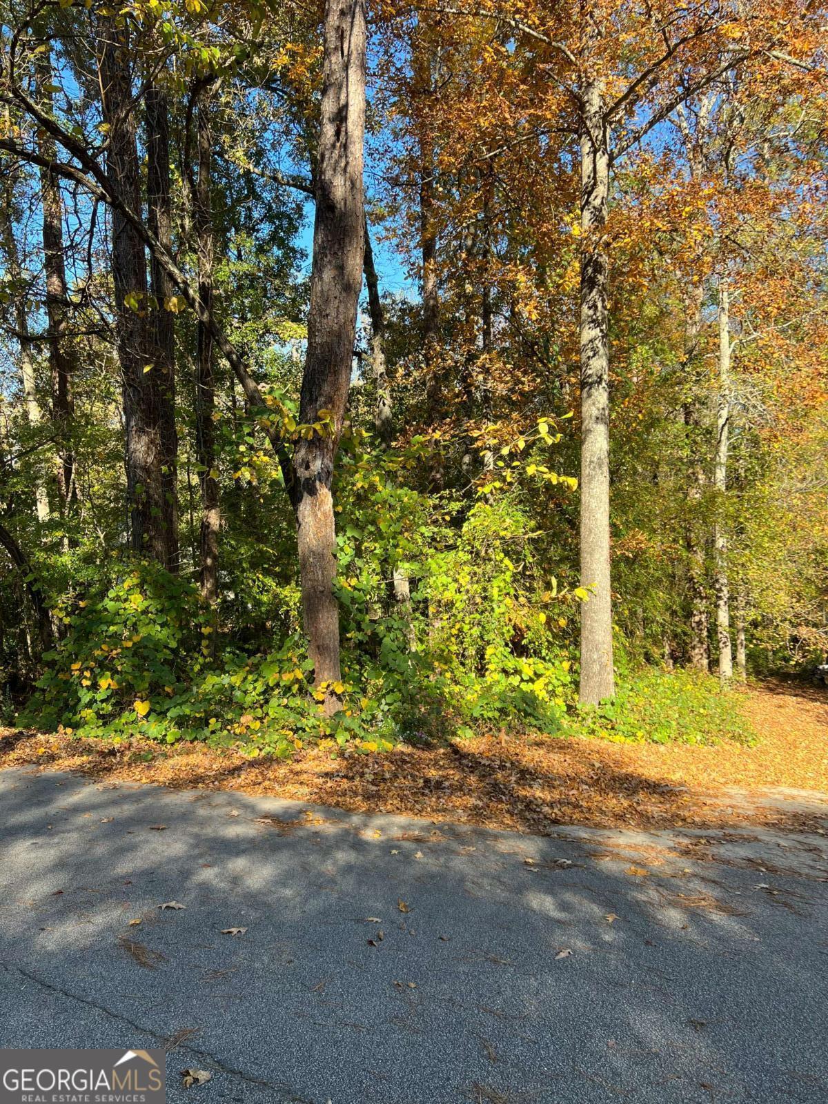 130 Valley Drive Stockbridge GA 30281