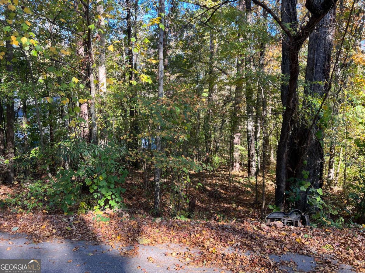 130 Valley Drive Stockbridge GA 30281