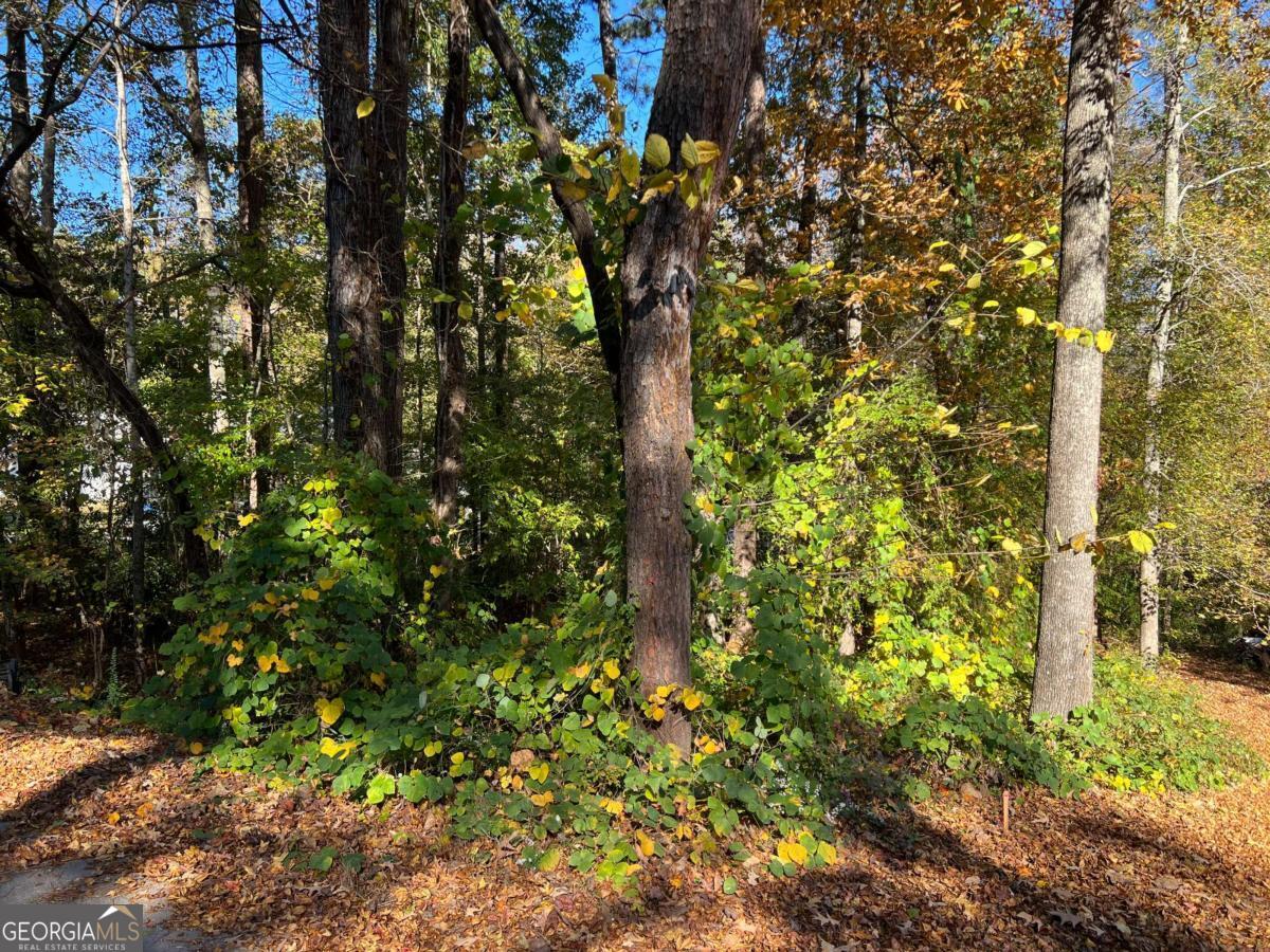 130 Valley Drive Stockbridge GA 30281