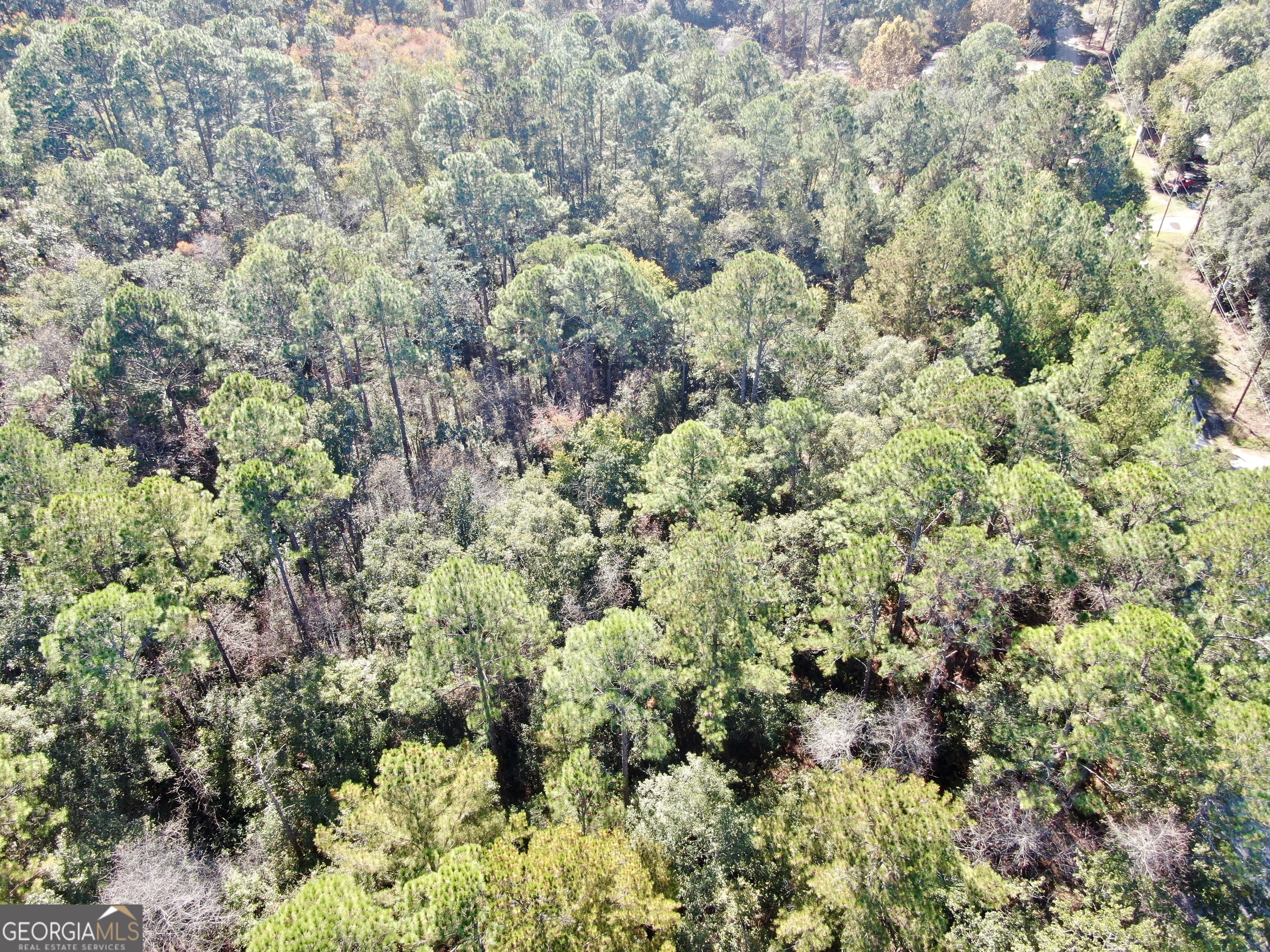 291 Sawdust Trail Waycross GA 31503