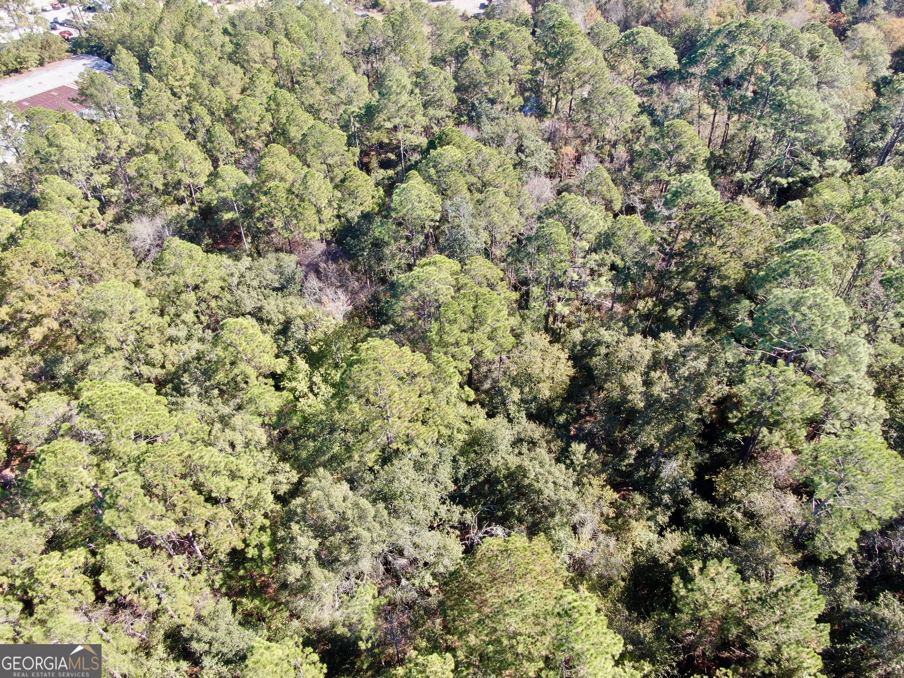 291 Sawdust Trail Waycross GA 31503