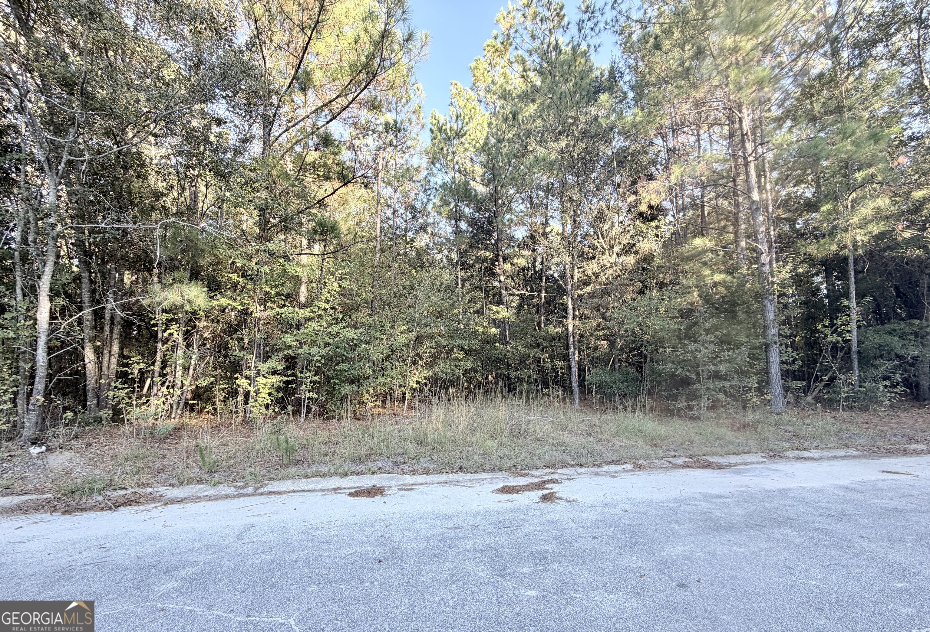 291 Sawdust Trail Waycross GA 31503