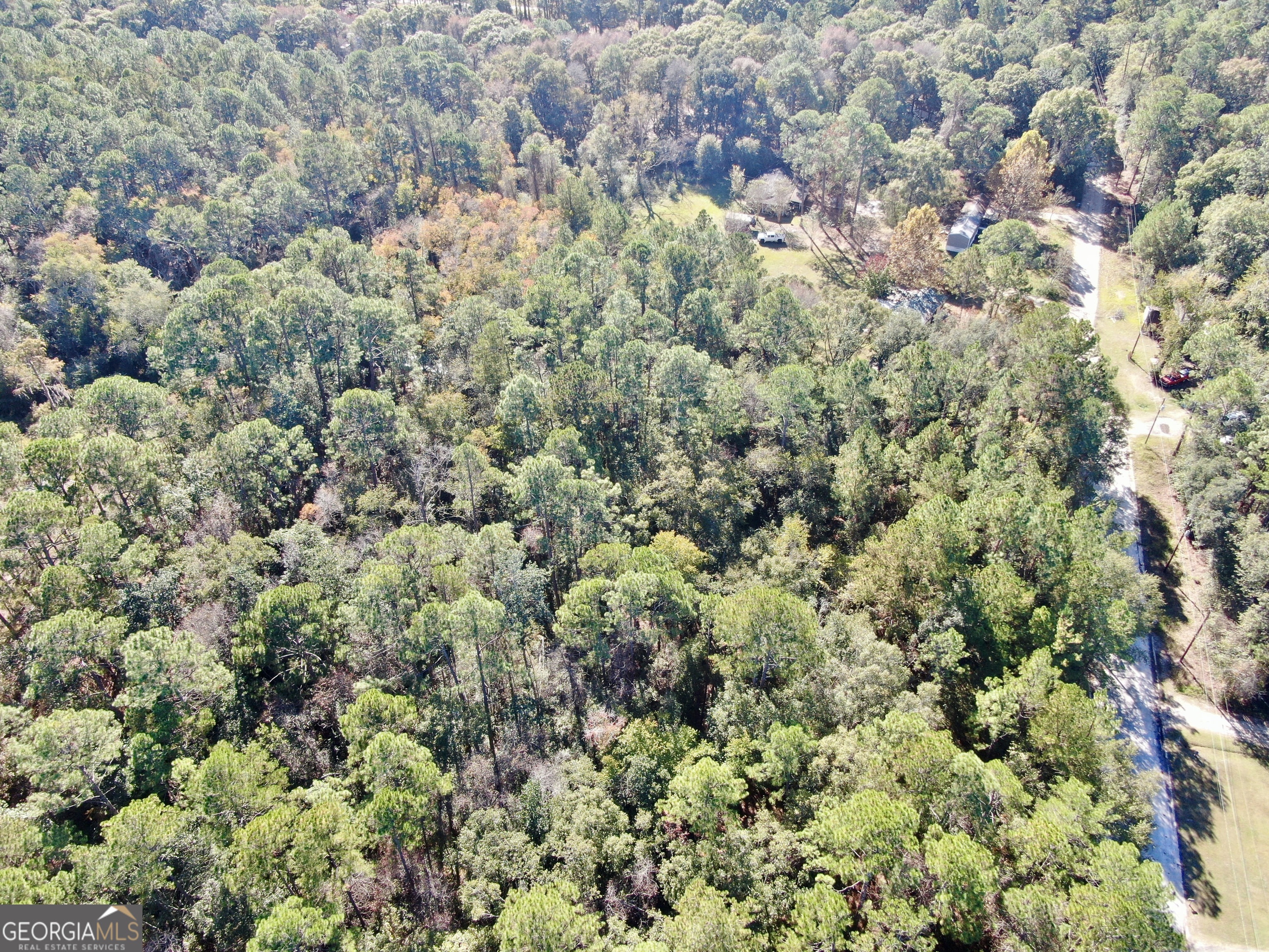 291 Sawdust Trail Waycross GA 31503