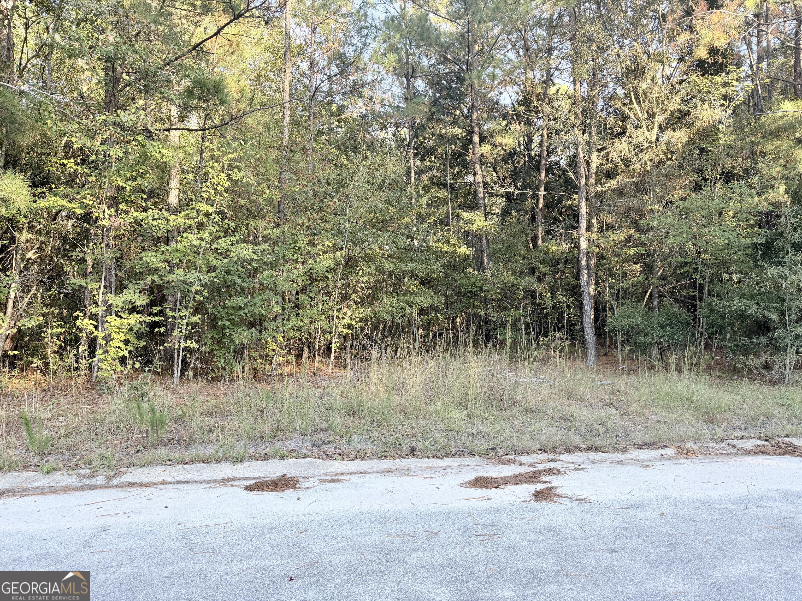 291 Sawdust Trail Waycross GA 31503