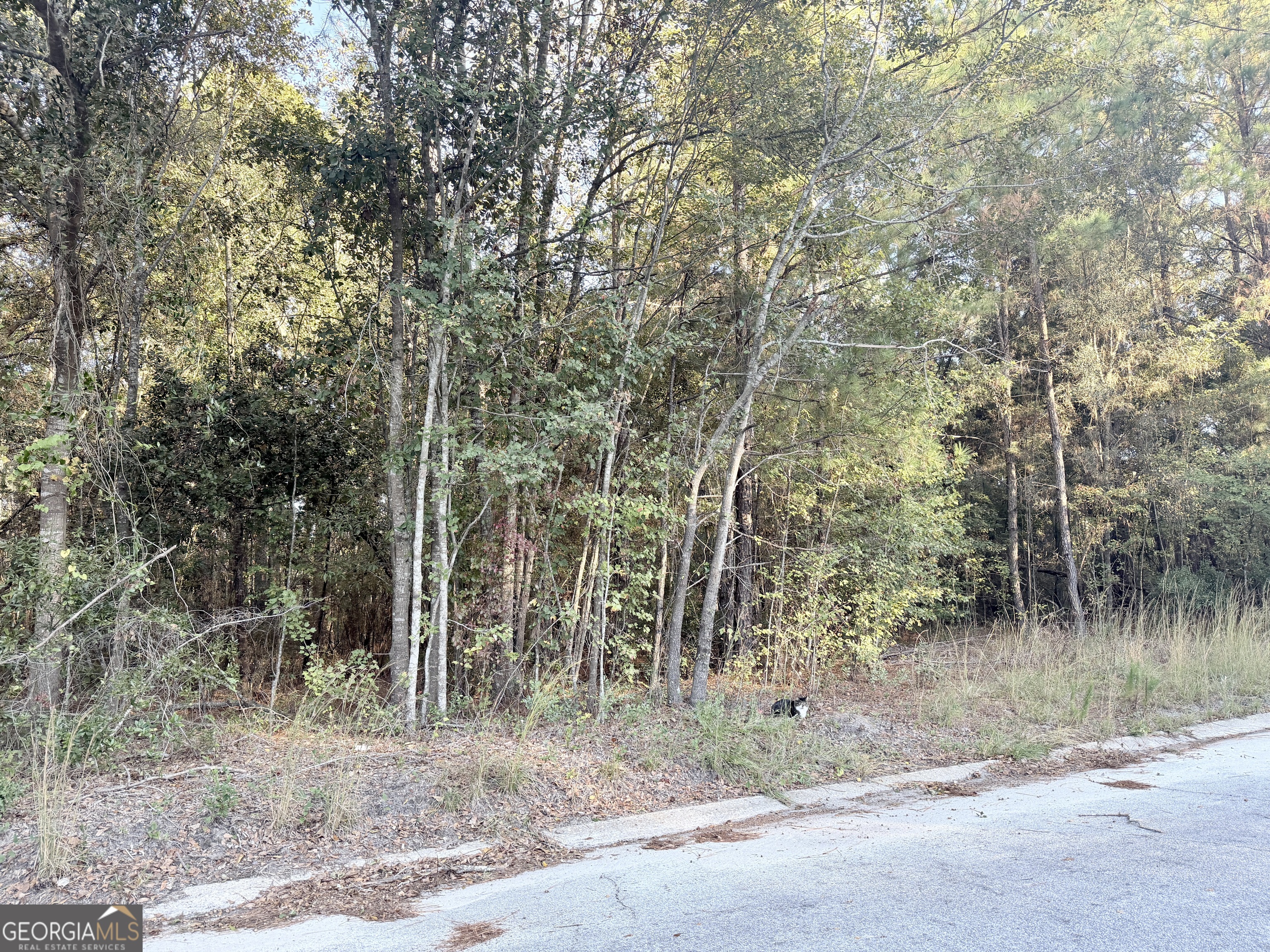 291 Sawdust Trail Waycross GA 31503
