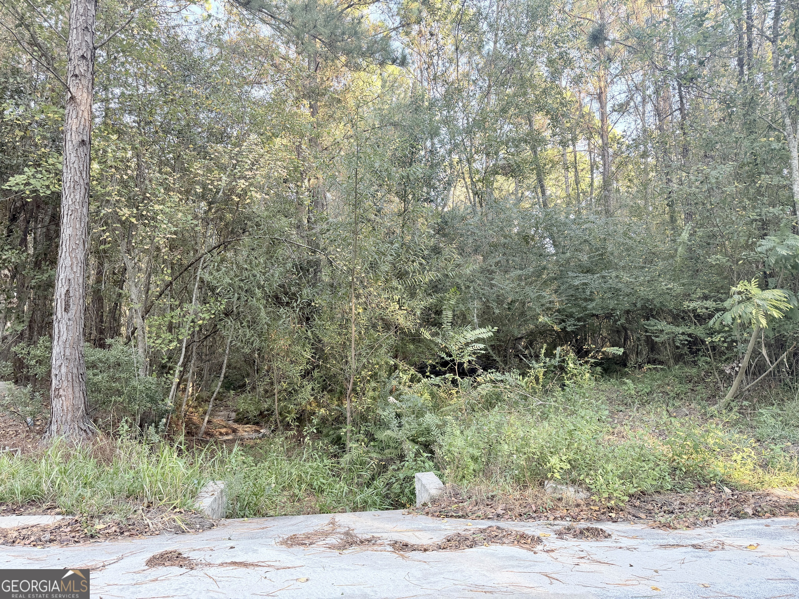 291 Sawdust Trail Waycross GA 31503