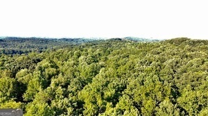 6280 Dawsonville Highway Dawsonville GA 30534