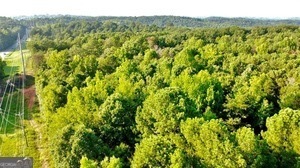 6280 Dawsonville Highway Dawsonville GA 30534