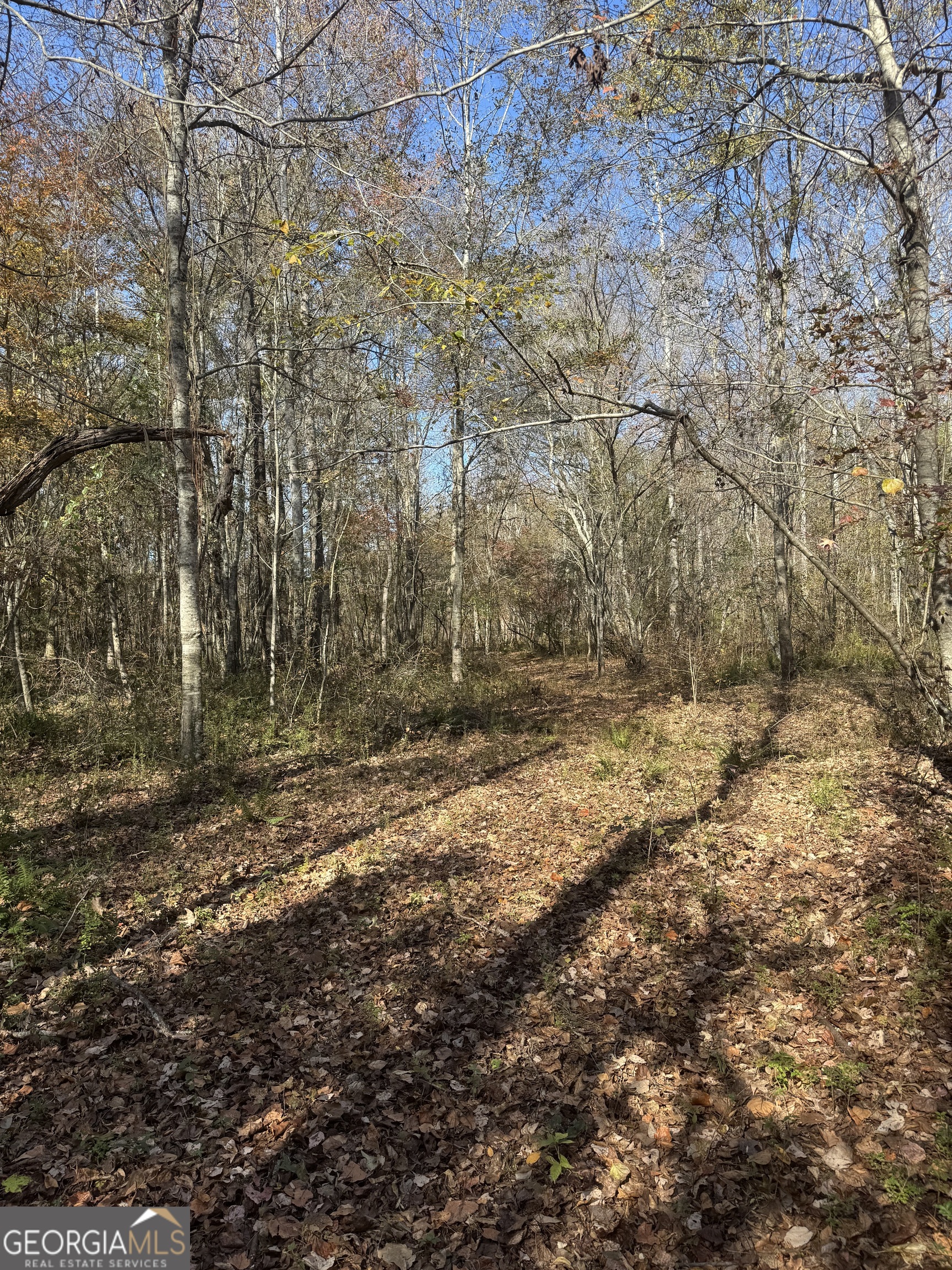 151 W Drummond Road West Point GA 31833