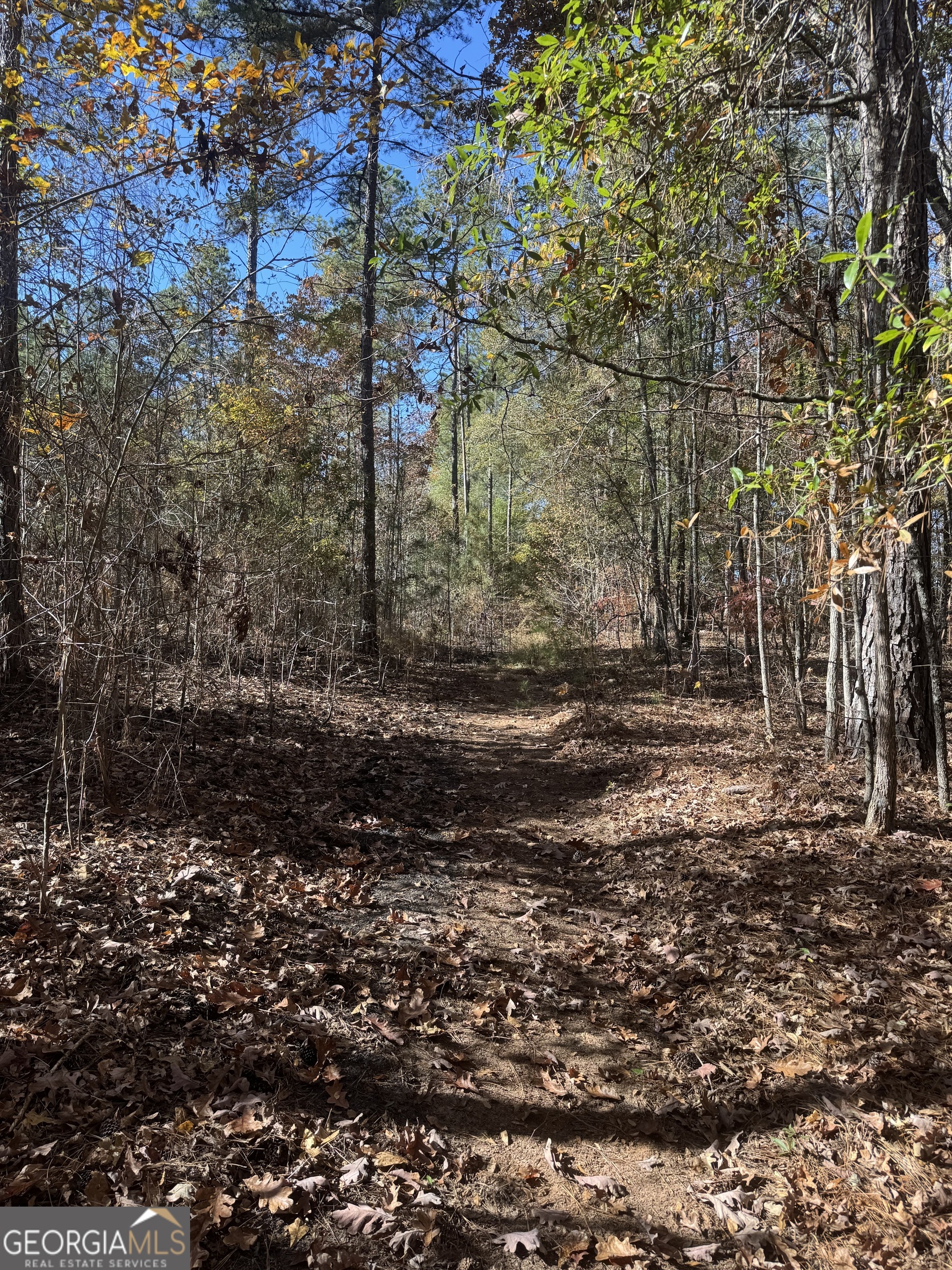 151 W Drummond Road West Point GA 31833