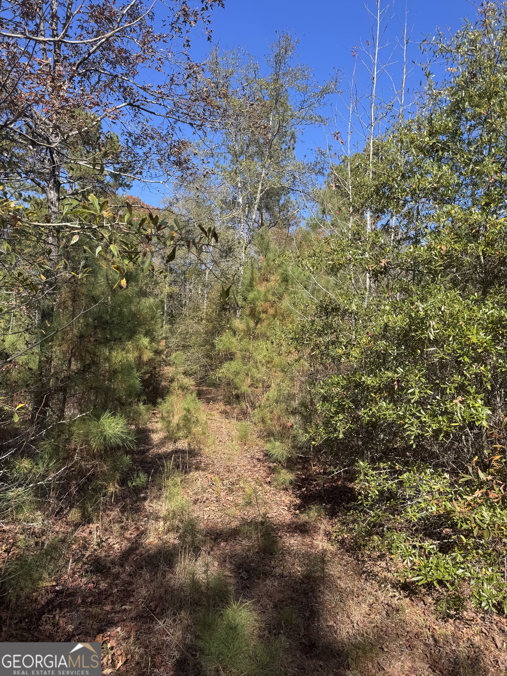 151 W Drummond Road West Point GA 31833
