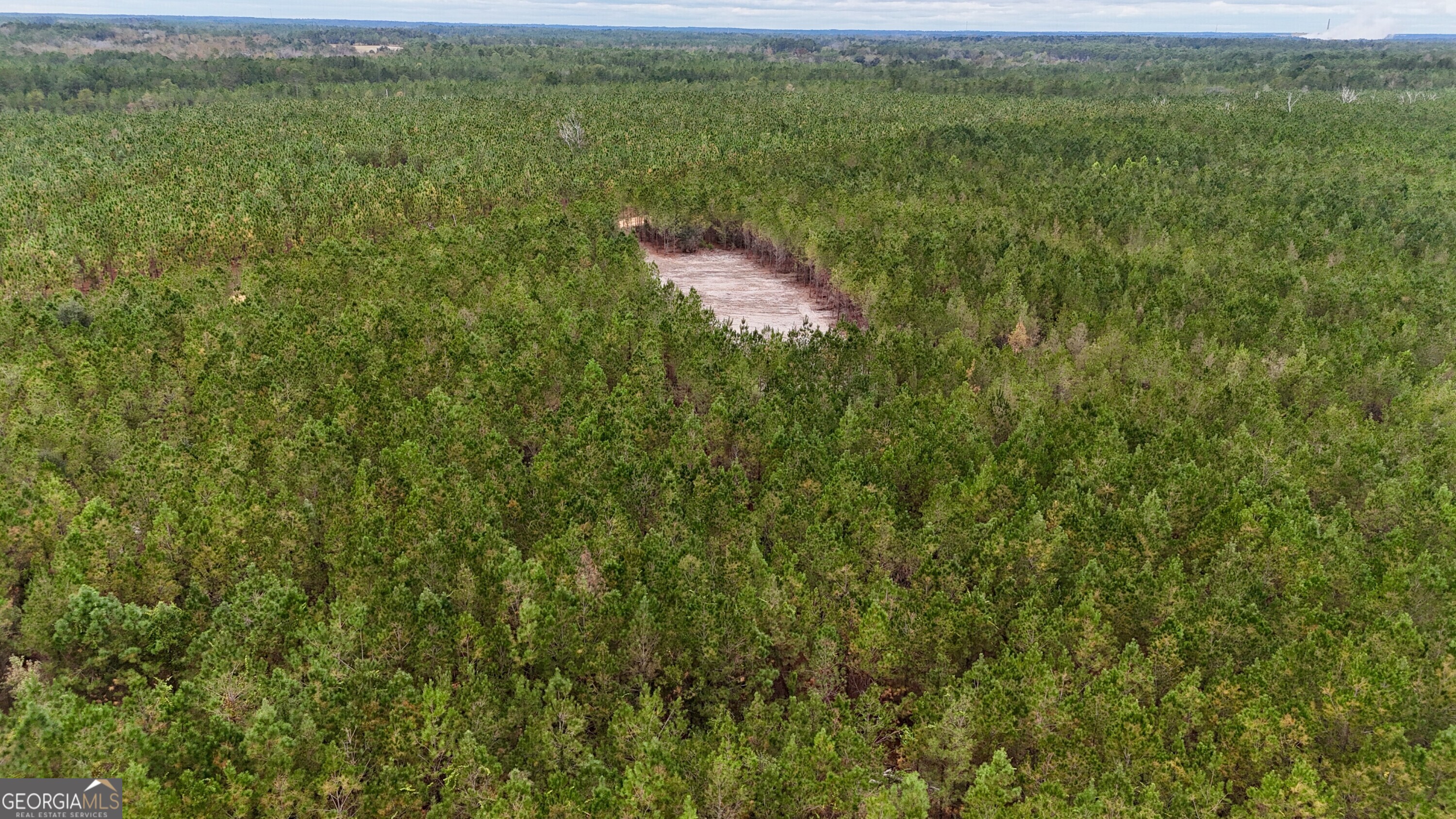 Tract 7 And 8 Penny Morris Road Baxley GA 31513