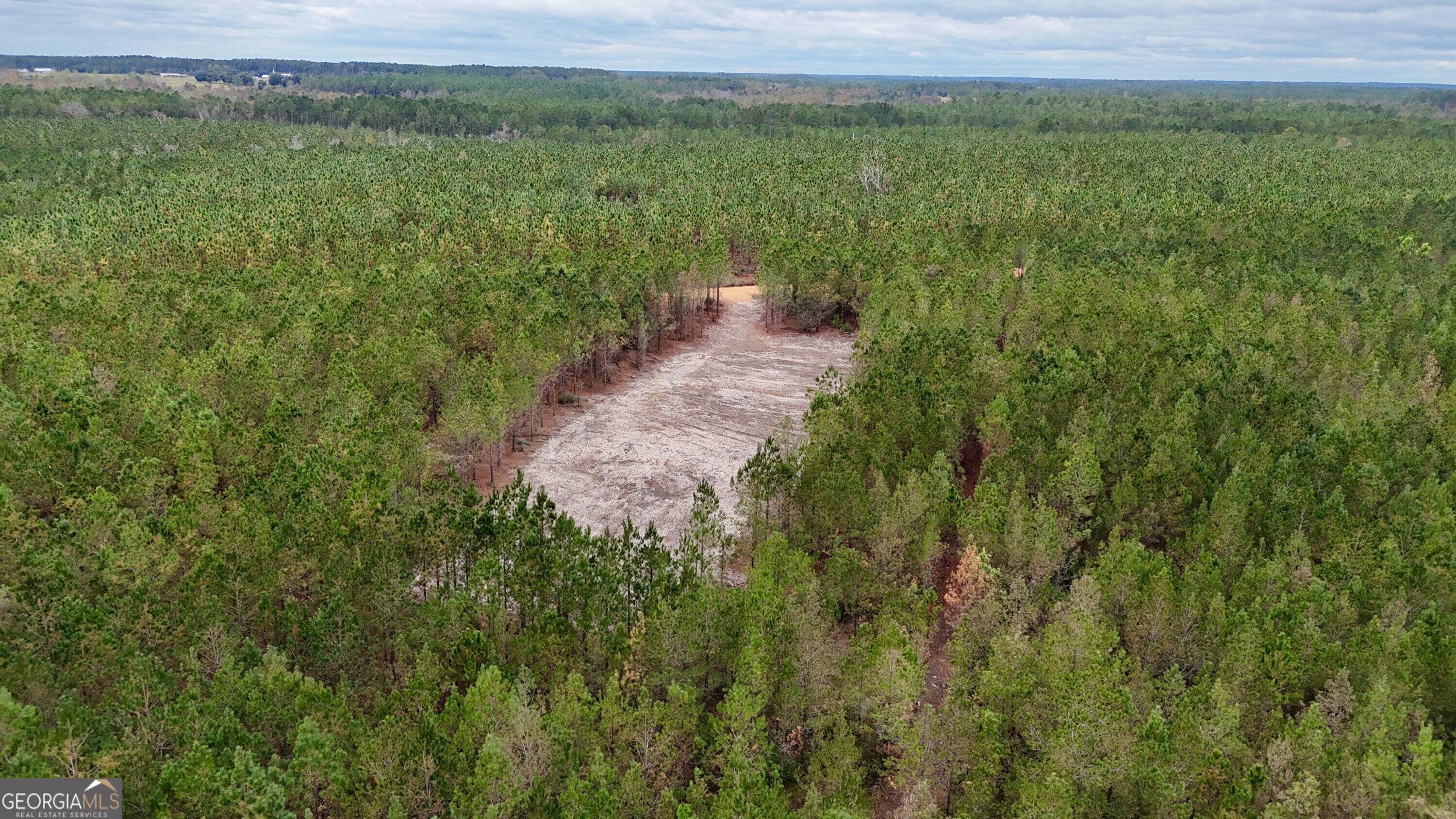 Tract 7 And 8 Penny Morris Road Baxley GA 31513
