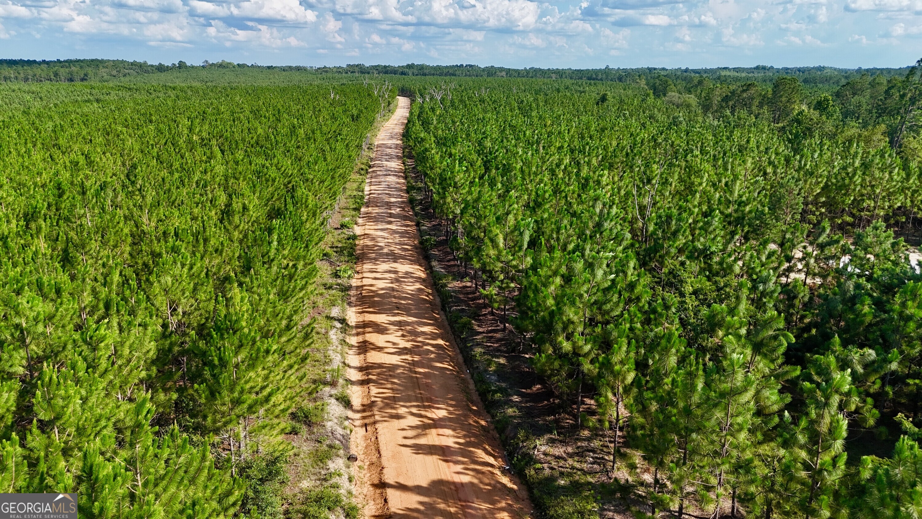 Tract 7 And 8 Penny Morris Road Baxley GA 31513