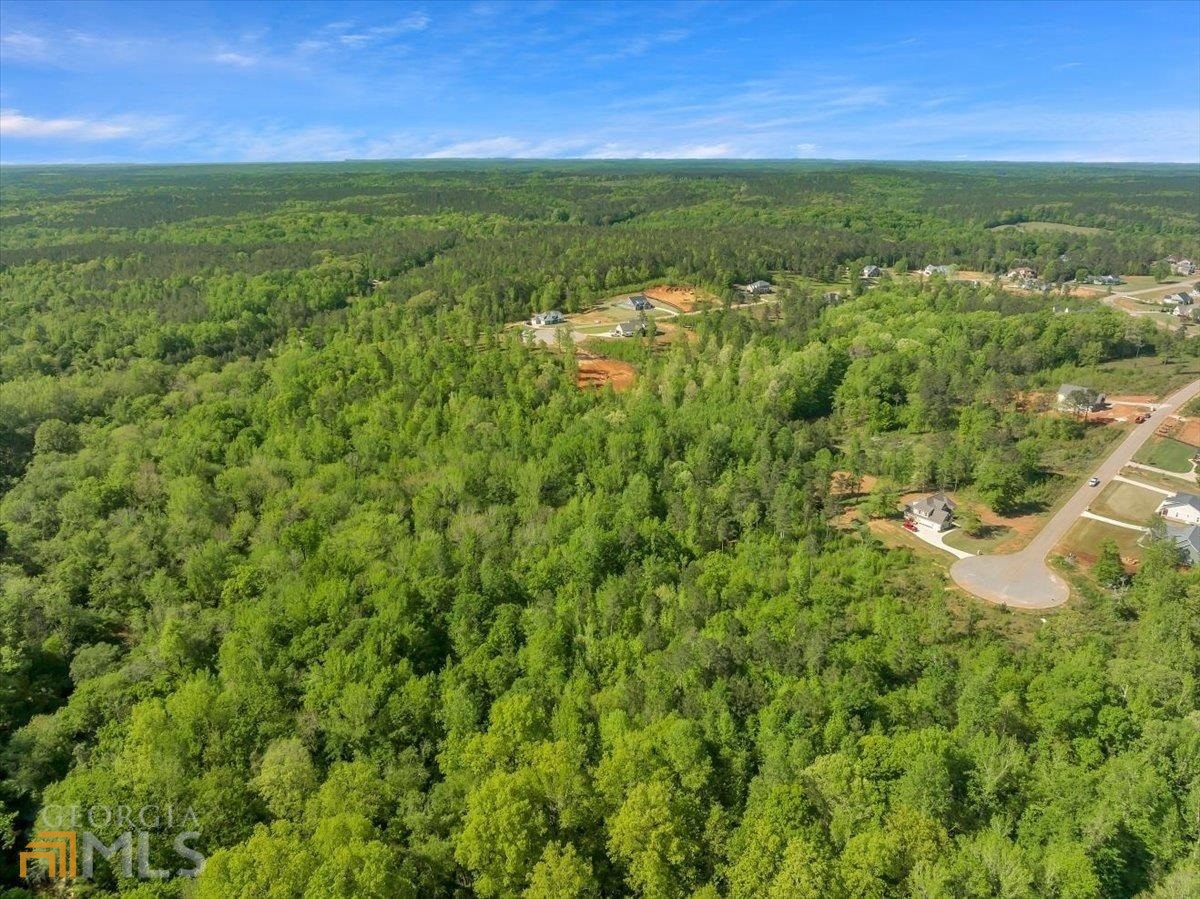 Lot 14-a-2 Creekside Lane Forsyth GA 31029