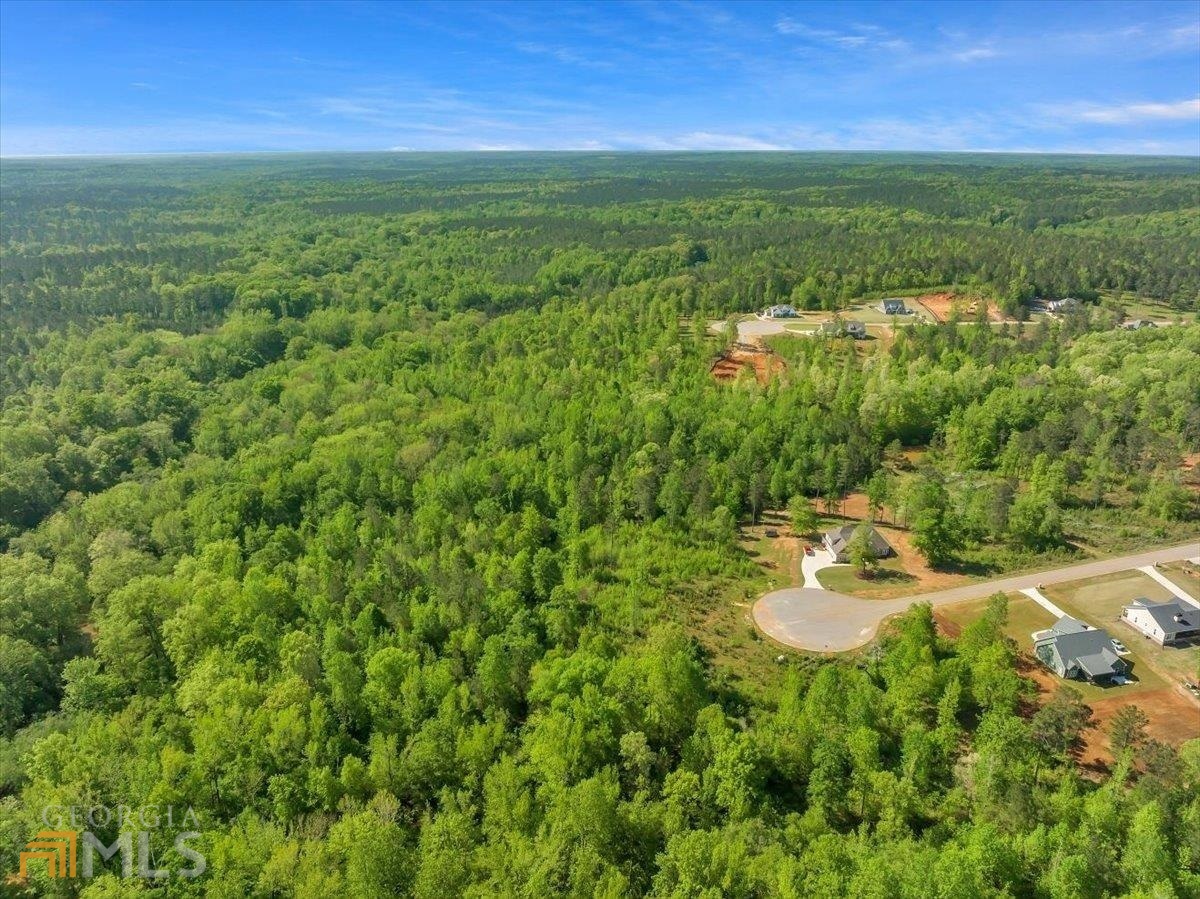 Lot 14-a-2 Creekside Lane Forsyth GA 31029