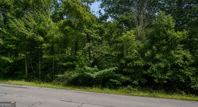 Lot 38 Shattuck Industrial Boulevard La Fayette GA 30728