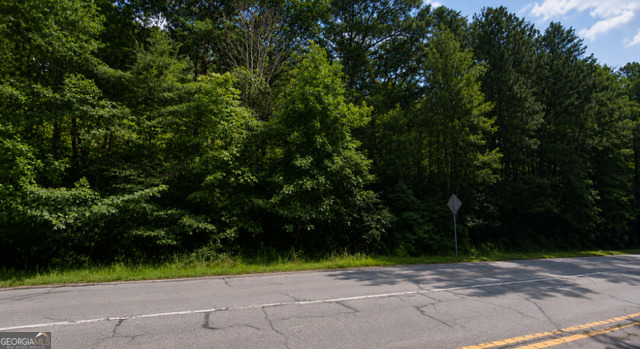 Lot 38 Shattuck Industrial Boulevard La Fayette GA 30728