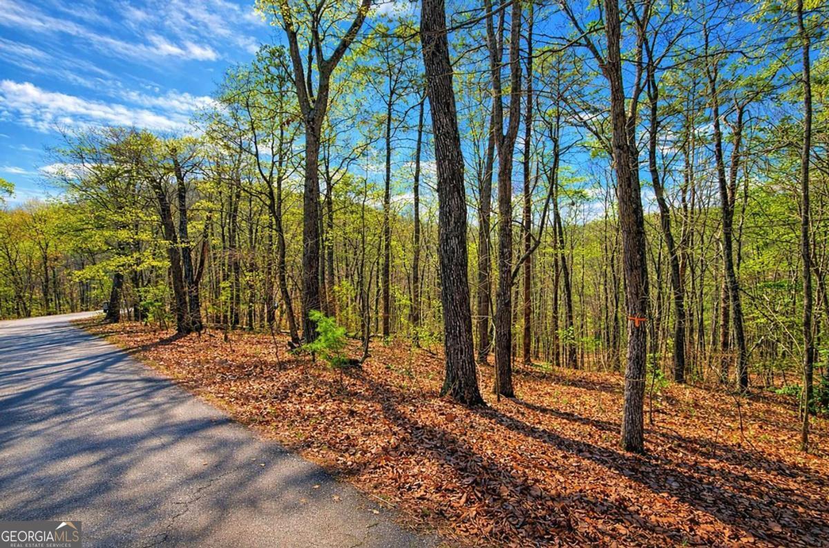 Lot 37 Clear Creek Acres Talking Rock GA 30175