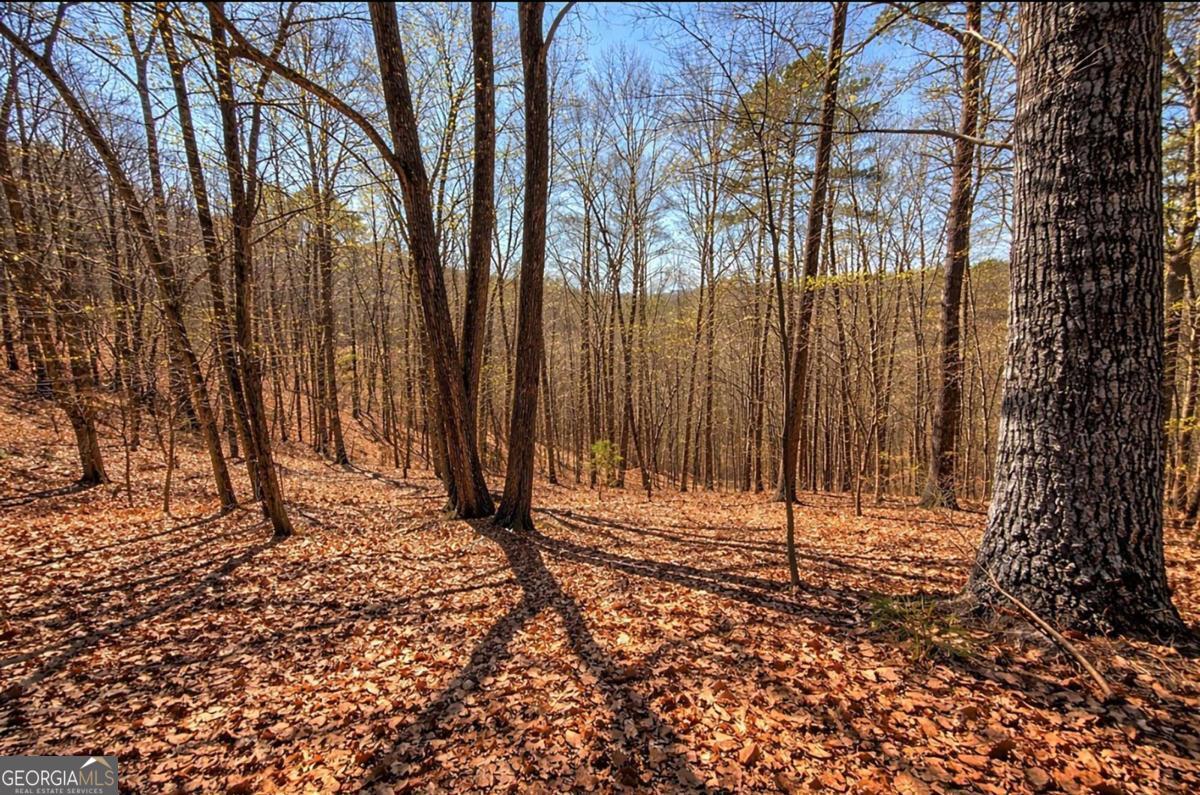 Lot 37 Clear Creek Acres Talking Rock GA 30175