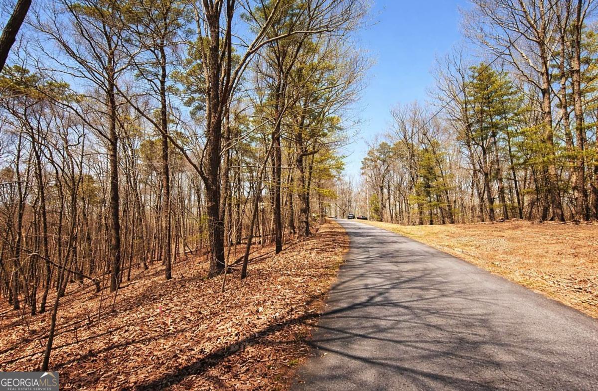 Lot 37 Clear Creek Acres Talking Rock GA 30175
