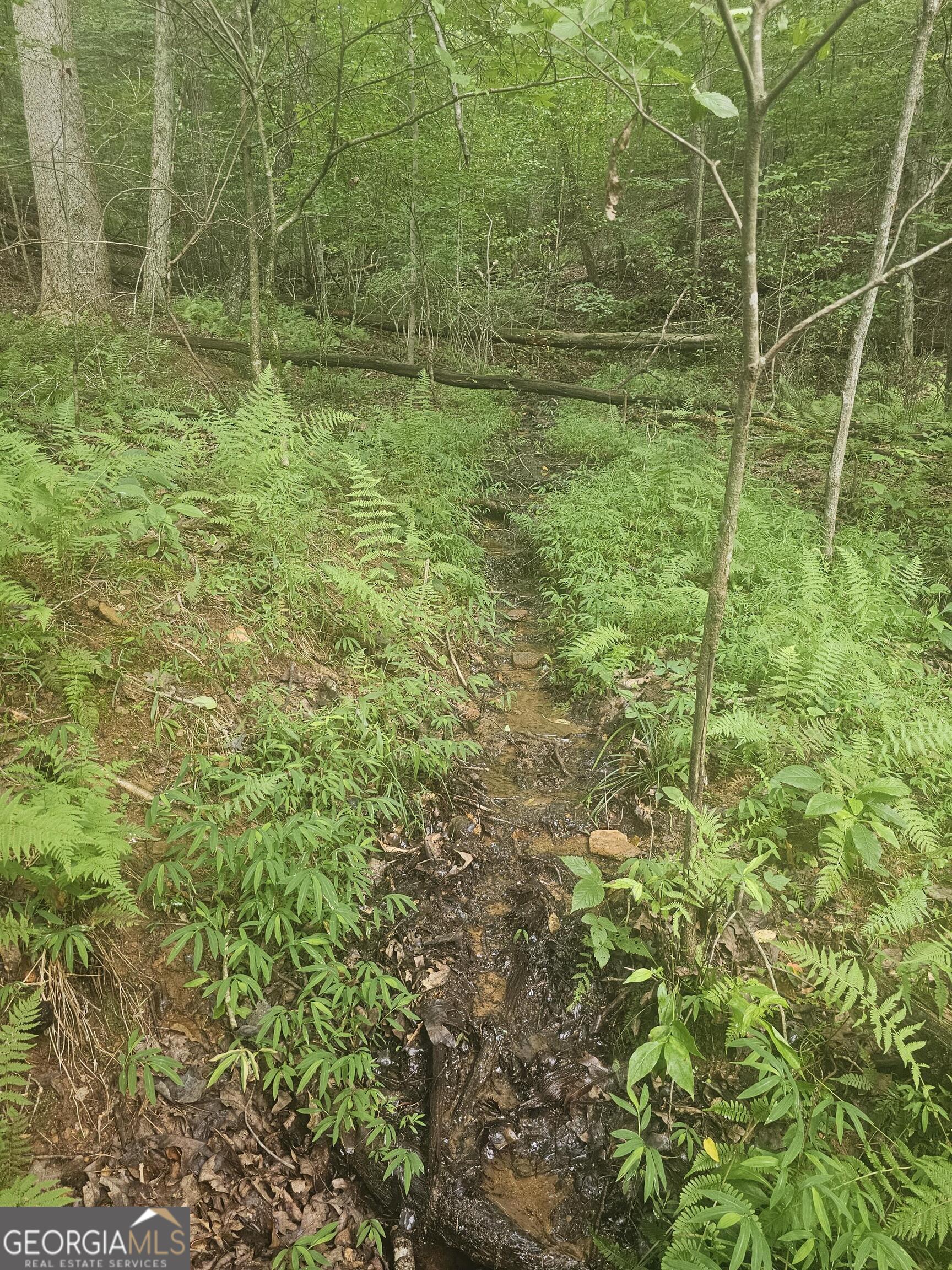 0 Watkins Road Blue Ridge GA 30513