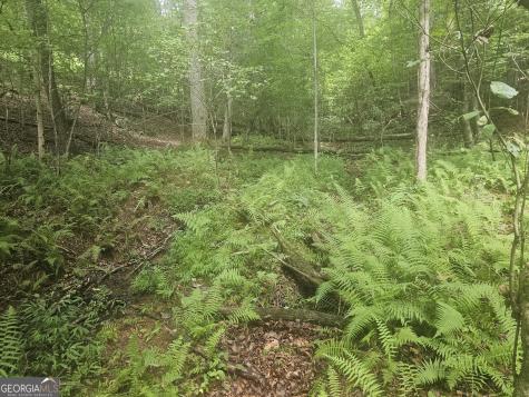 0 Watkins Road Blue Ridge GA 30513