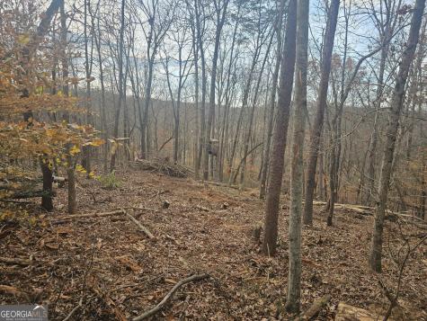 0 Watkins Road Blue Ridge GA 30513