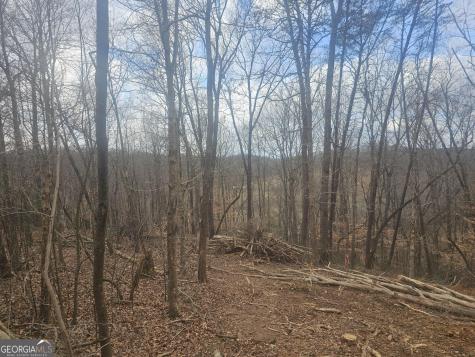 0 Watkins Road Blue Ridge GA 30513
