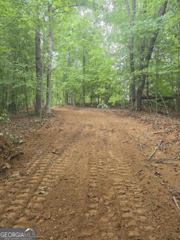 0 Watkins Road Blue Ridge GA 30513