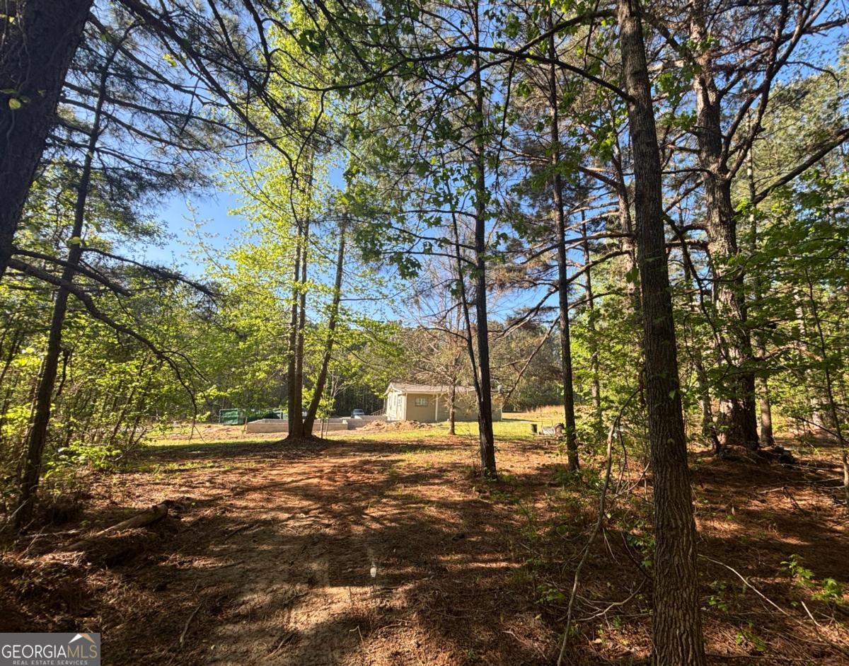 3148 Trammell Bottom Road Hogansville GA 30230