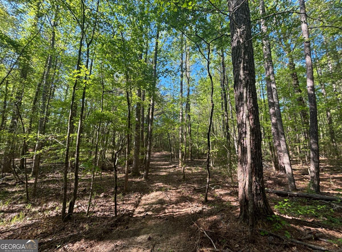 3148 Trammell Bottom Road Hogansville GA 30230
