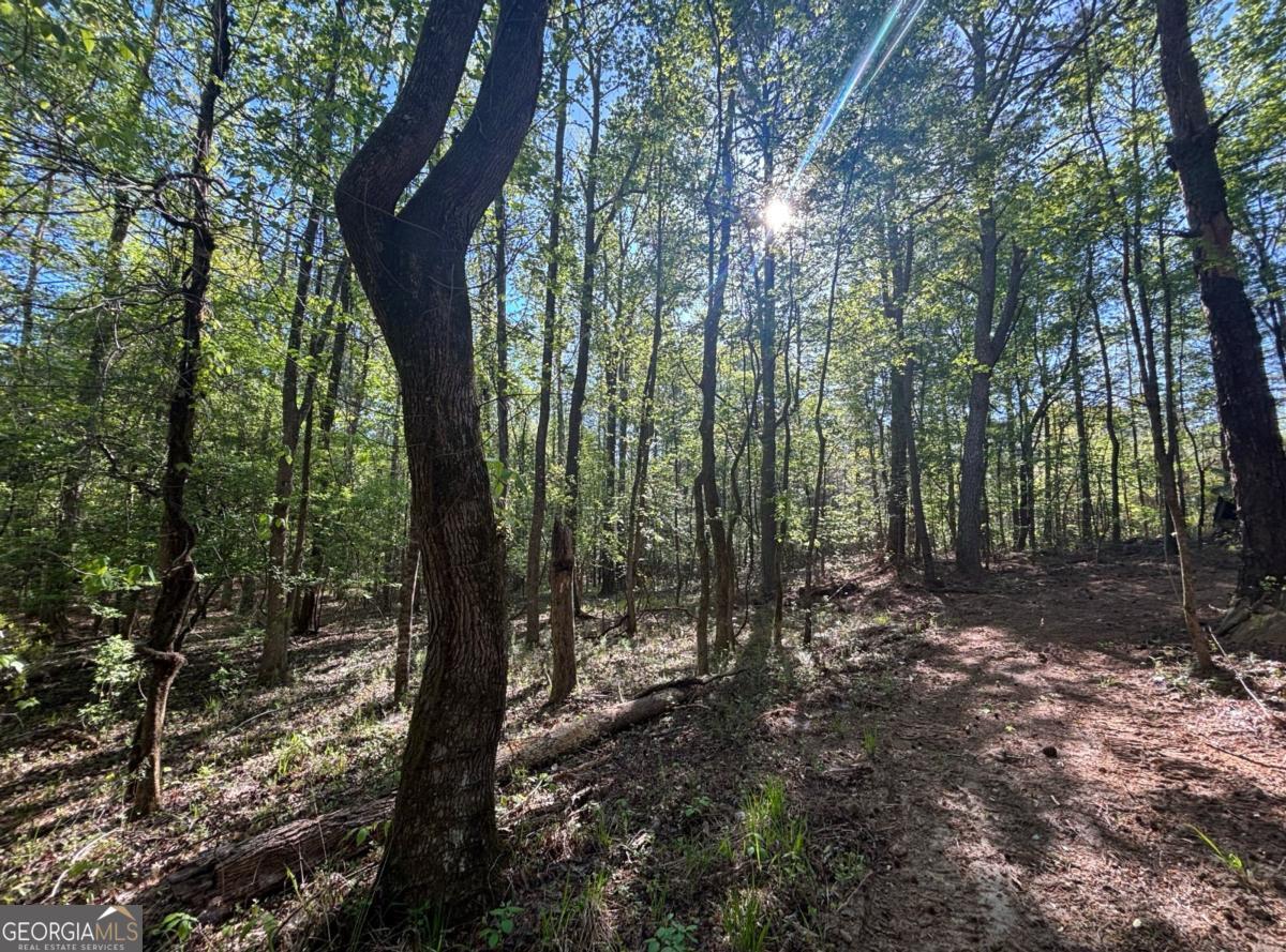 3148 Trammell Bottom Road Hogansville GA 30230