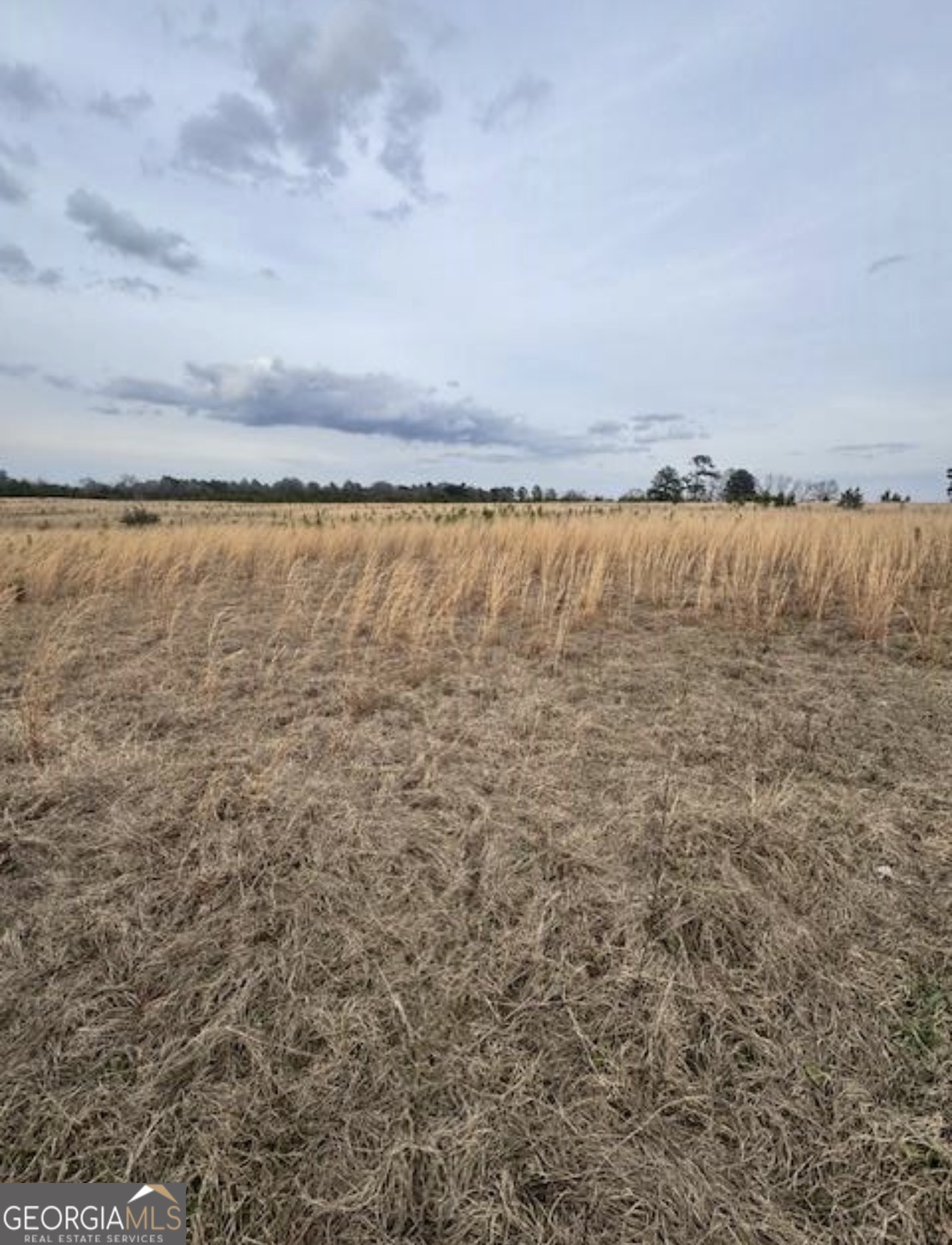 0 Mark Wood Road (Lot 2) Dexter GA 31019