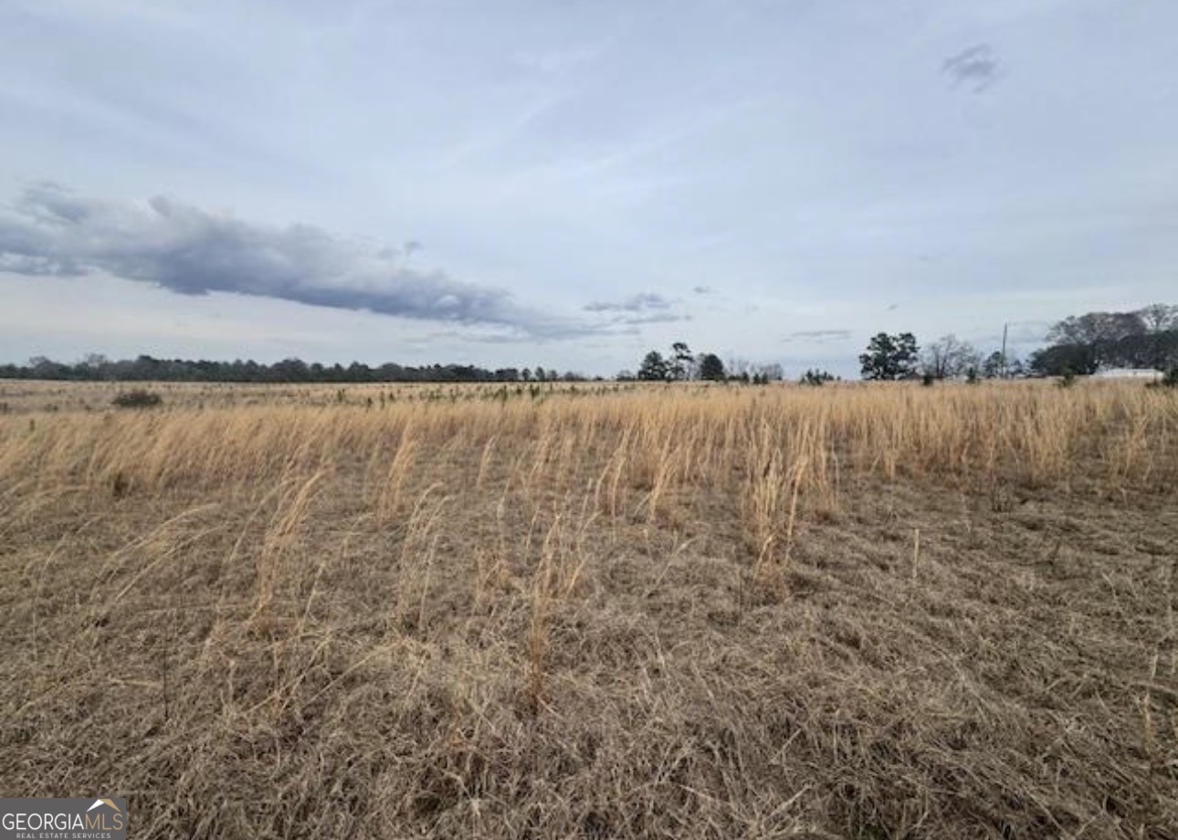 0 Mark Wood Road (Lot 2) Dexter GA 31019