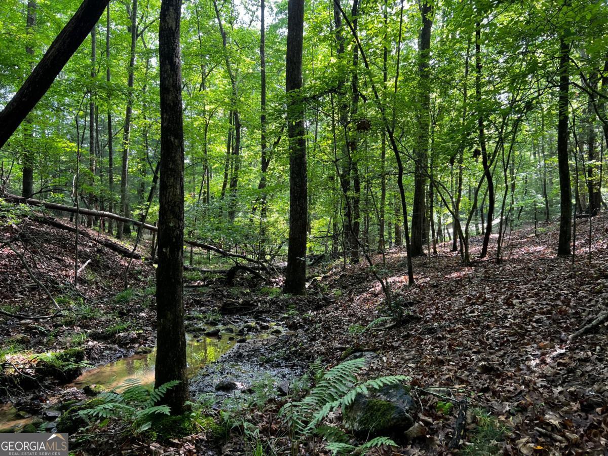 3.52 Ac Payne Way Blairsville GA 30512